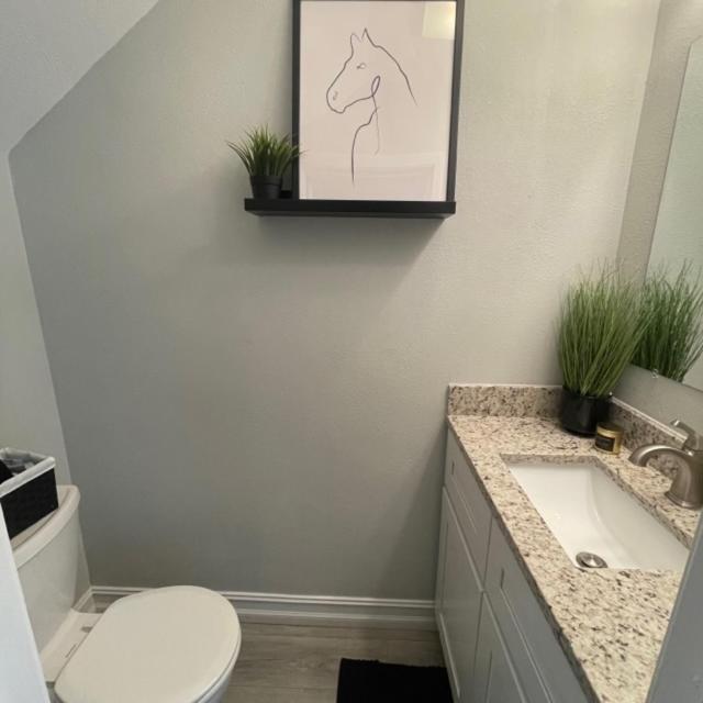 Modern Townhome Tampa Dış mekan fotoğraf