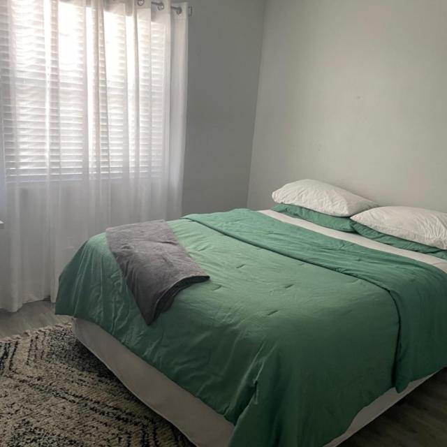 Modern Townhome Tampa Dış mekan fotoğraf